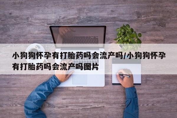 打胎药/堕胎药专卖微信小狗狗怀孕有打胎药吗会流产吗/小狗狗怀孕有打胎药吗会流产吗图片