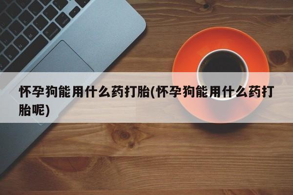 打胎药/堕胎药专卖微信怀孕狗能用什么药打胎(怀孕狗能用什么药打胎呢)