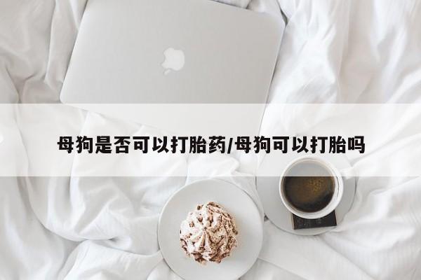 打胎药/堕胎药专卖微信母狗是否可以打胎药/母狗可以打胎吗